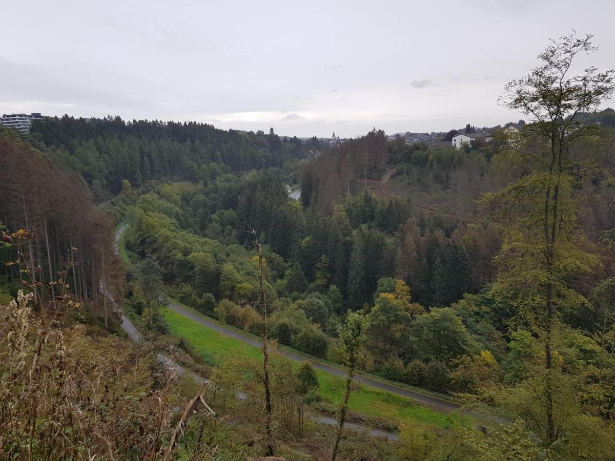 Altastenberger Lodge Winterberg Eksteriør bilde